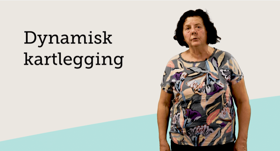 Bilde av film med teksten: Dynamisk kartlegging