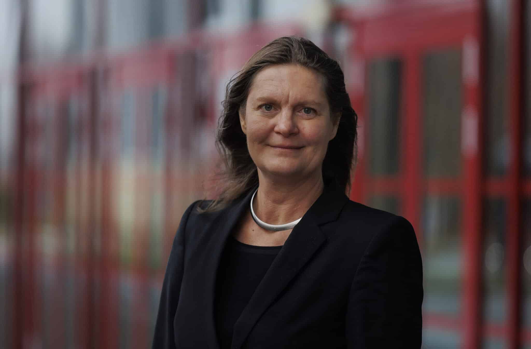 Hilde Sønsterud, portrett