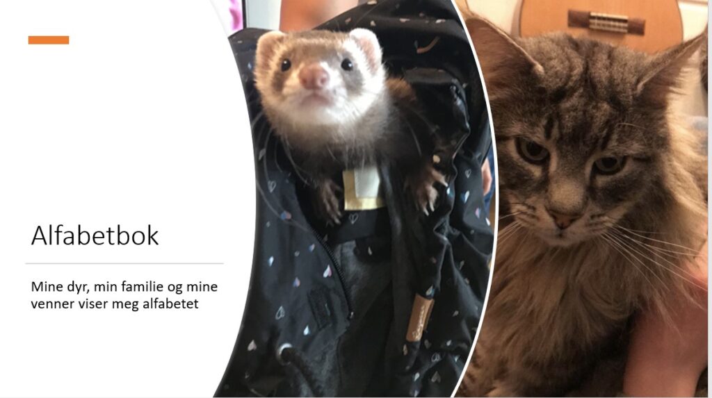 Slide med bilder av dyr og teksten "Alfabetbok - mine dyr, min familie og mine venner viser meg alfabetet".