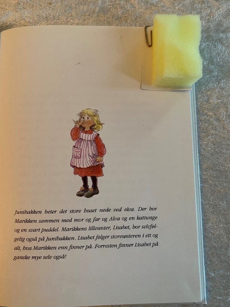 Bok med svamp limt i hjørnet på siden.