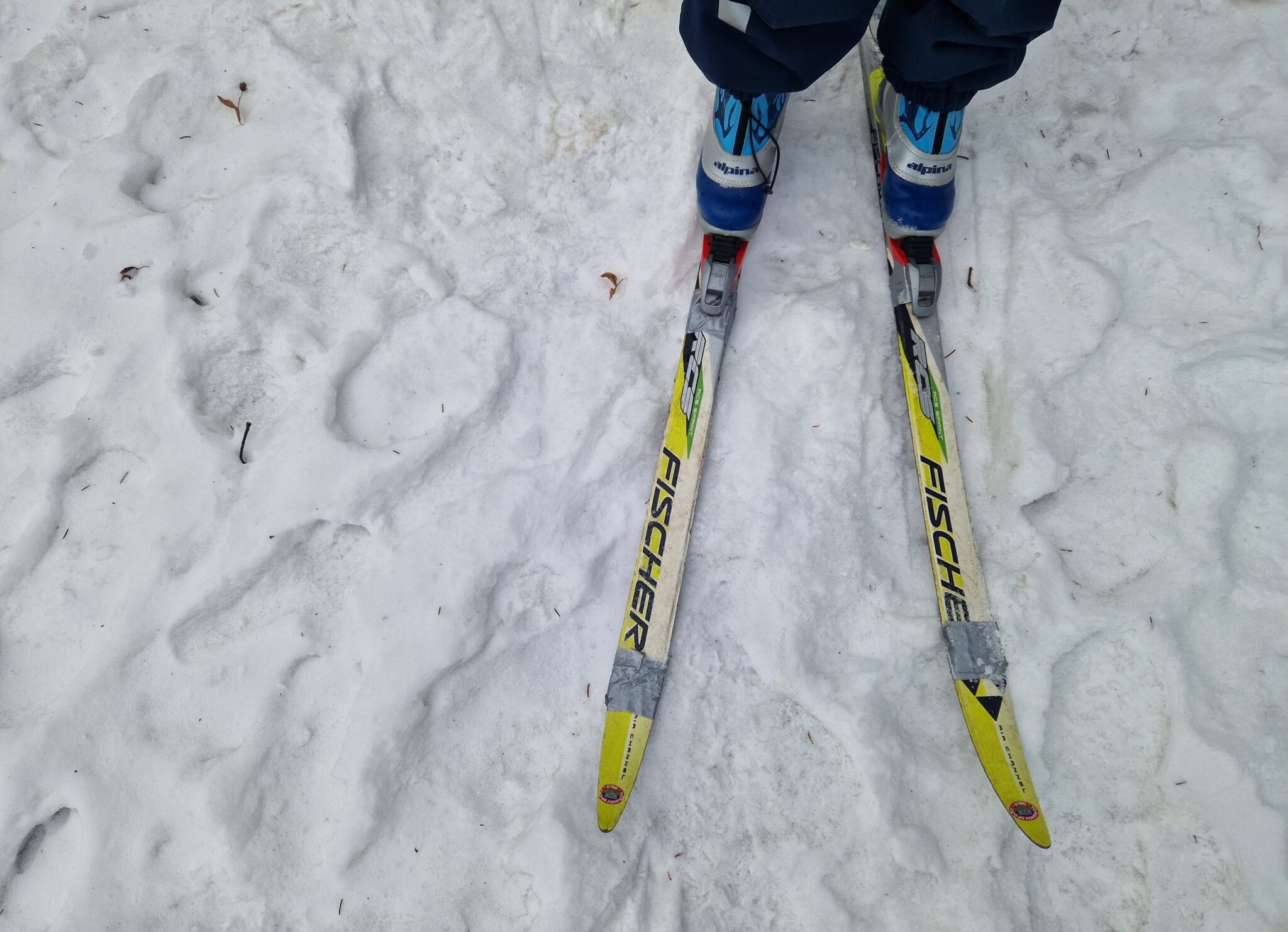 Ski på snø