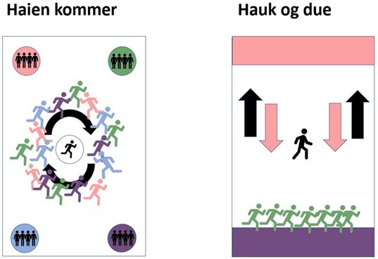 Tegningen viser med piler hvordan haien kommer og hauk og due lekes.