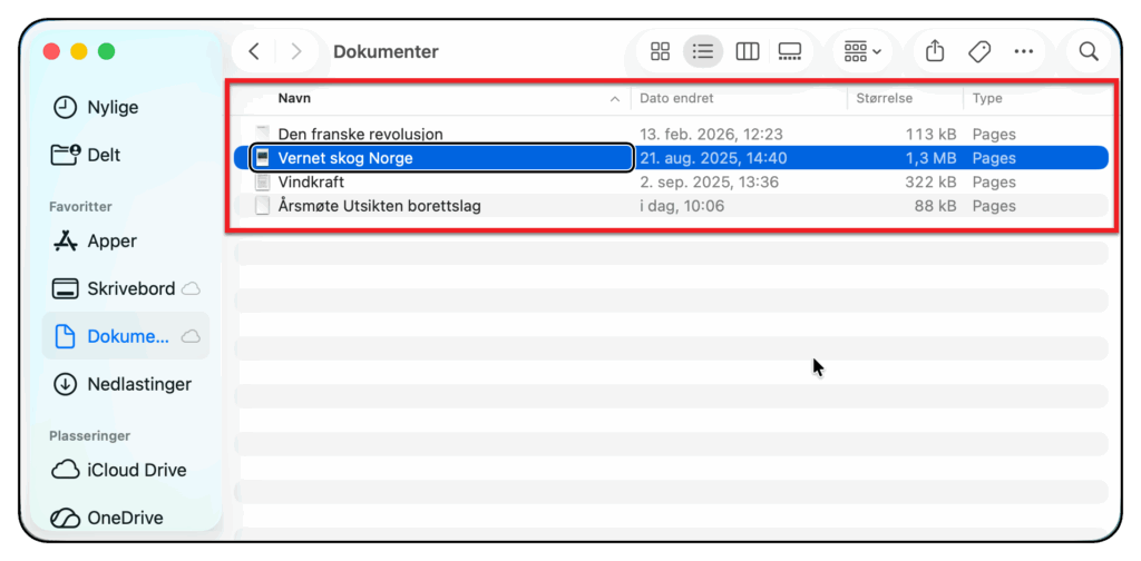 Et Finder-vindu med fokus på lista med filer
