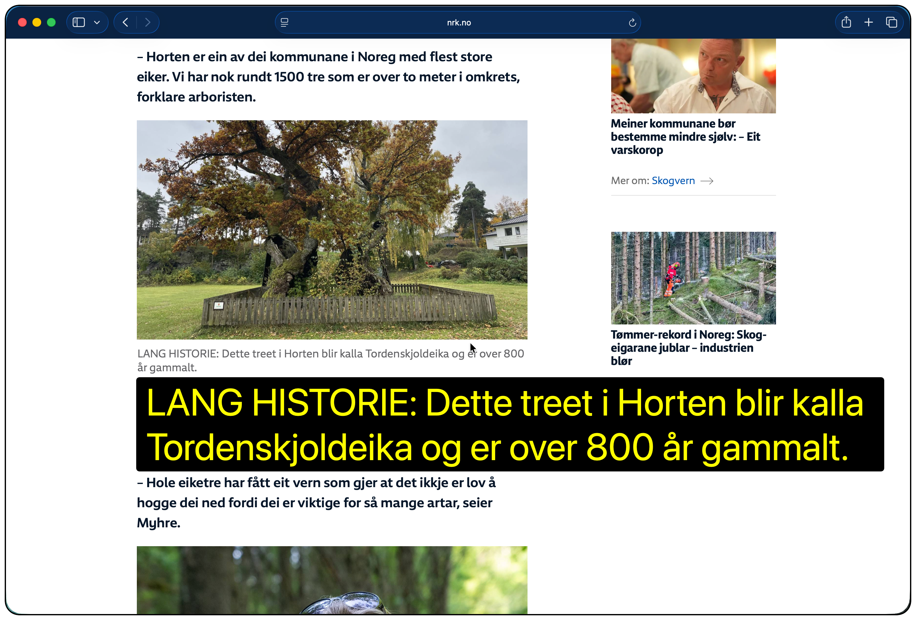 Peketekst viser en større versjon av teksten under pekeren.