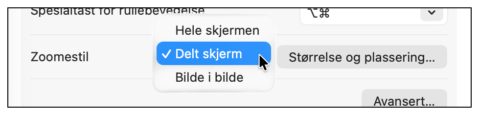 Velg zoomestil for Zoom fra Systeminnstillinger