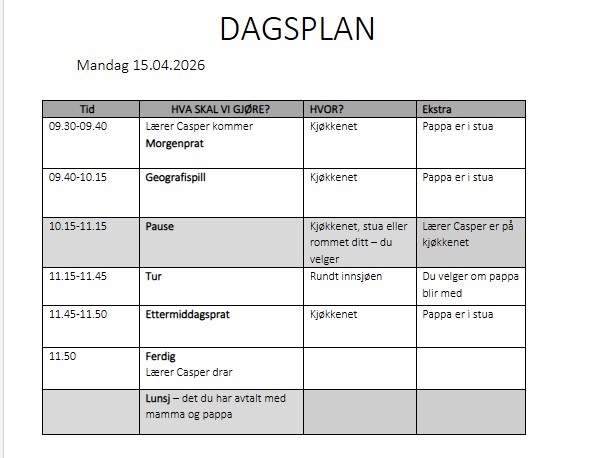 Eksemepel på en dagsplan /timeplan