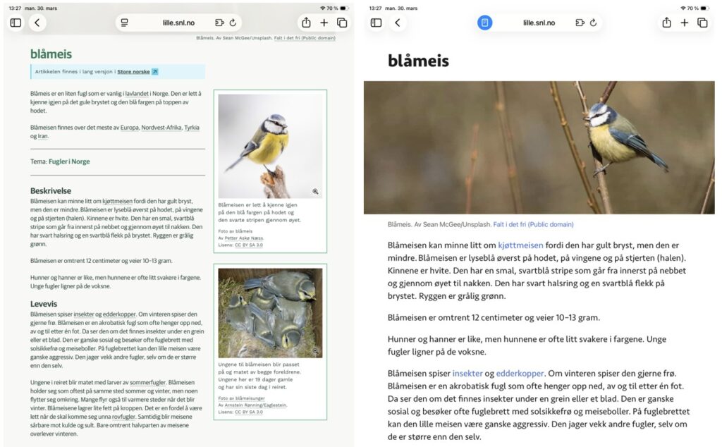 Eksempel på leservisning i Safari på iPad