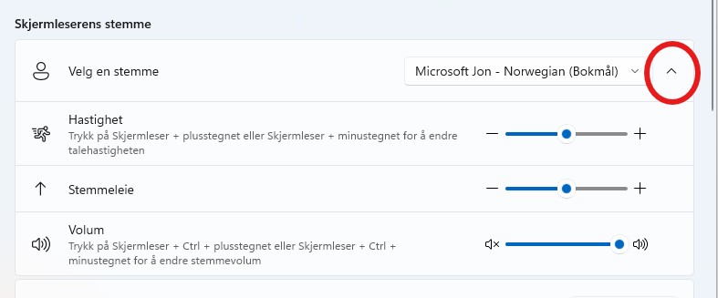 Meny for stemmevalg i Skjermleser