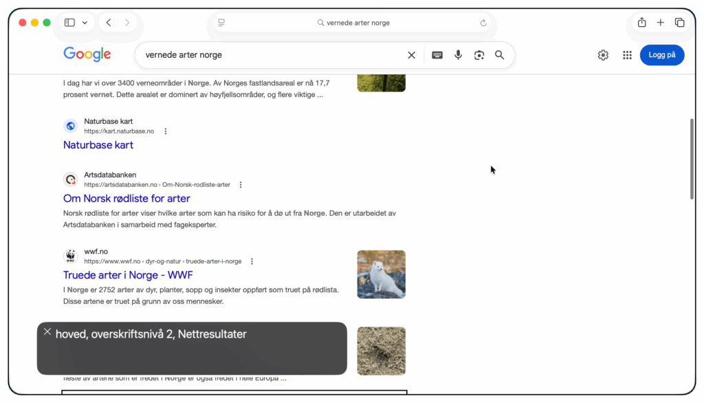 Google-søk i Safari