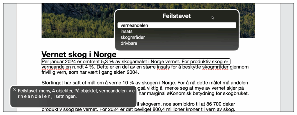VoiceOver Tekstkontroll