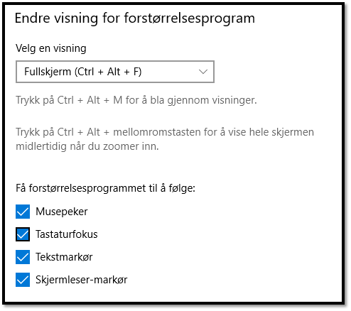 Skjermdump innstillinger for forstørrelse fullskjerm