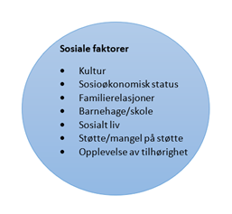 Sosiale faktorer