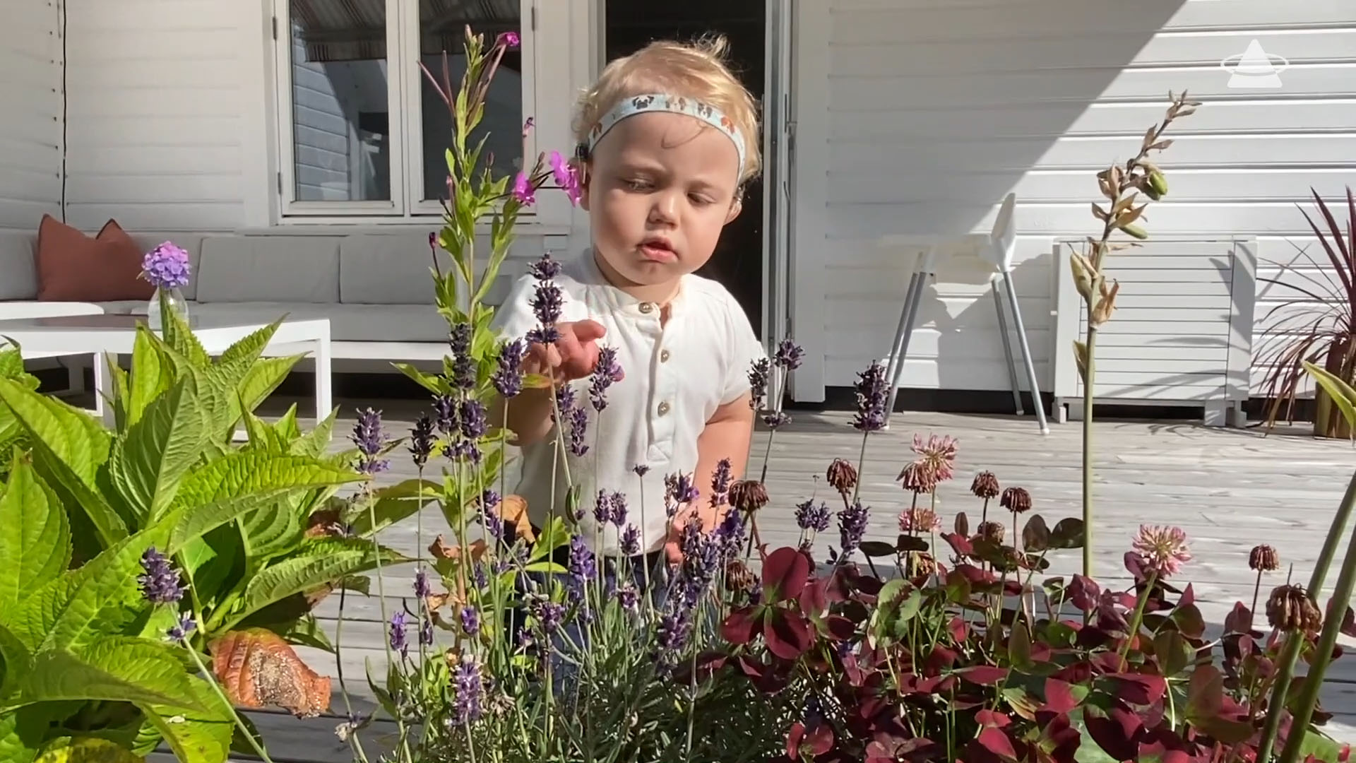 Tidemann (1) ser på blomster på terrassen hjemme.