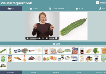Skjermdump: Visuell tegnordbok
