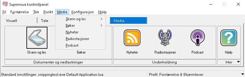 Bilde: Kontrollpanel som viser fanen Media