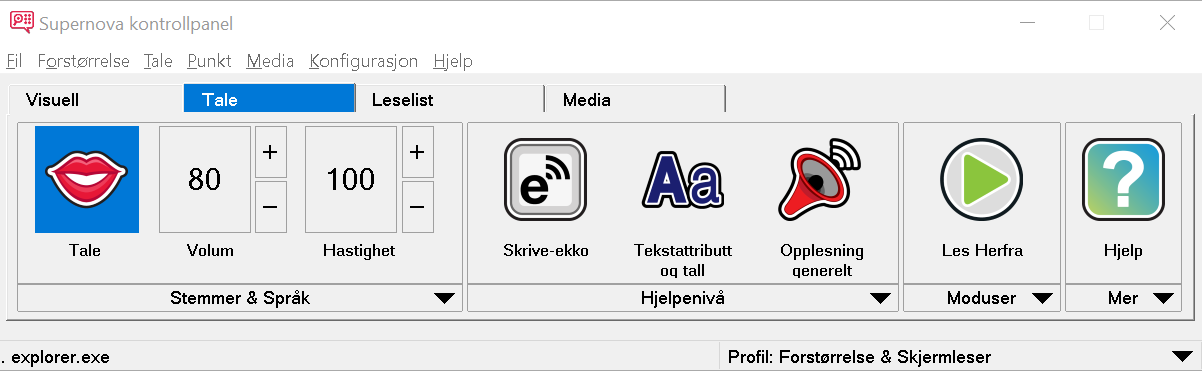 Bilde: Kontrollpanel som viser fanen Tale